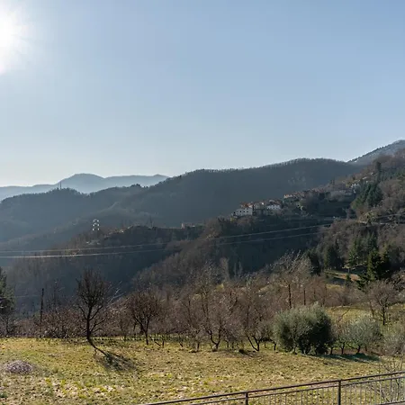 Limoni * 莫拉扎纳