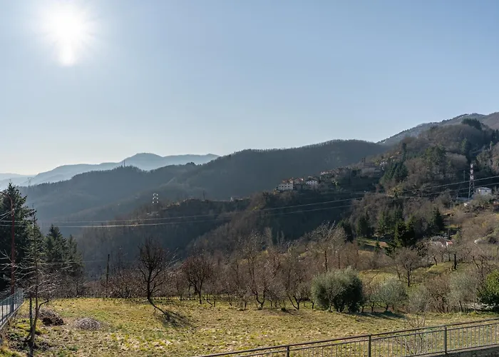 Limoni * 莫拉扎纳